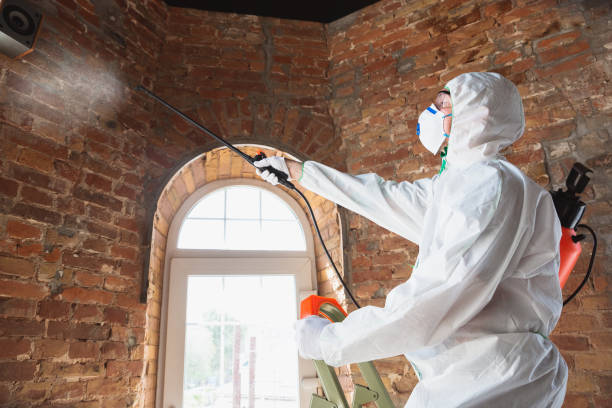 Mold Documentation for Insurance Claims in Morgan, GA